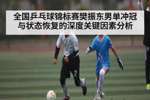 全国乒乓球锦标赛樊振东男单冲冠与状态恢复的深度关键因素分析